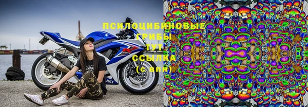 стафф Бородино