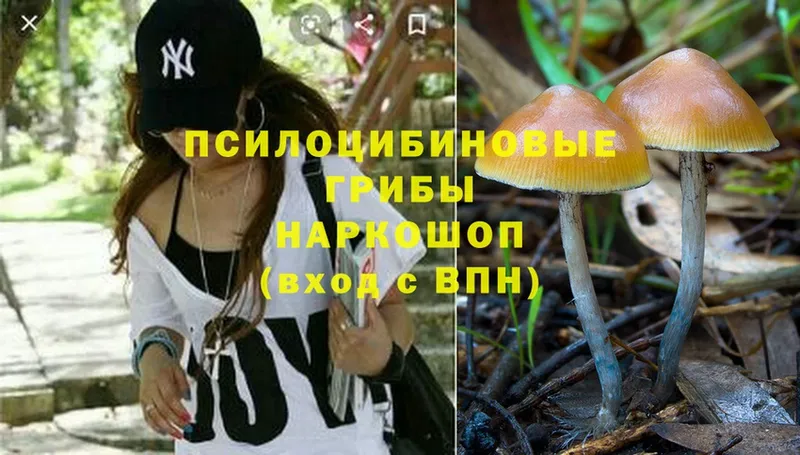 Псилоцибиновые грибы Magic Shrooms  магазин продажи   Красноперекопск 